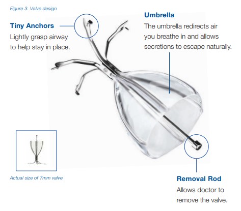 Spiration valve system