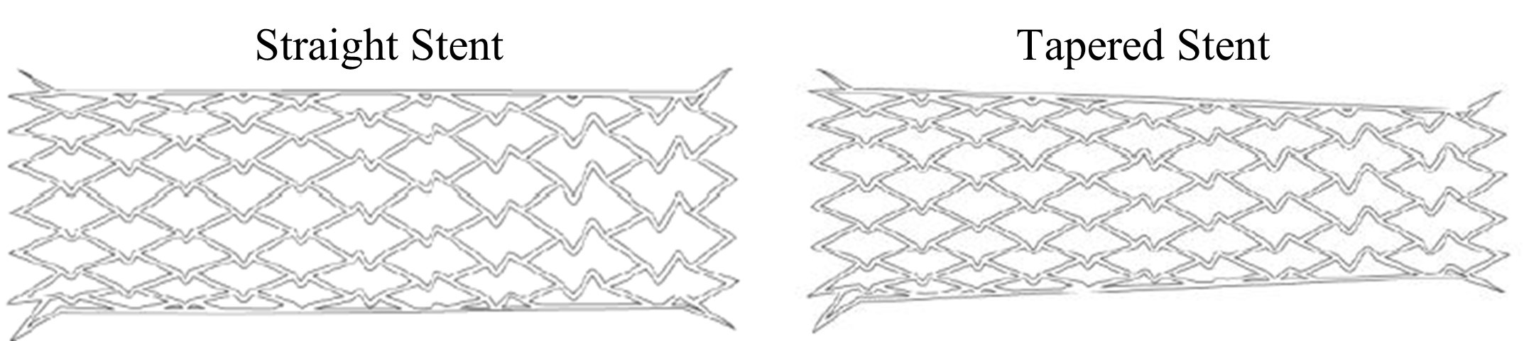 XACT Carotid Stent System