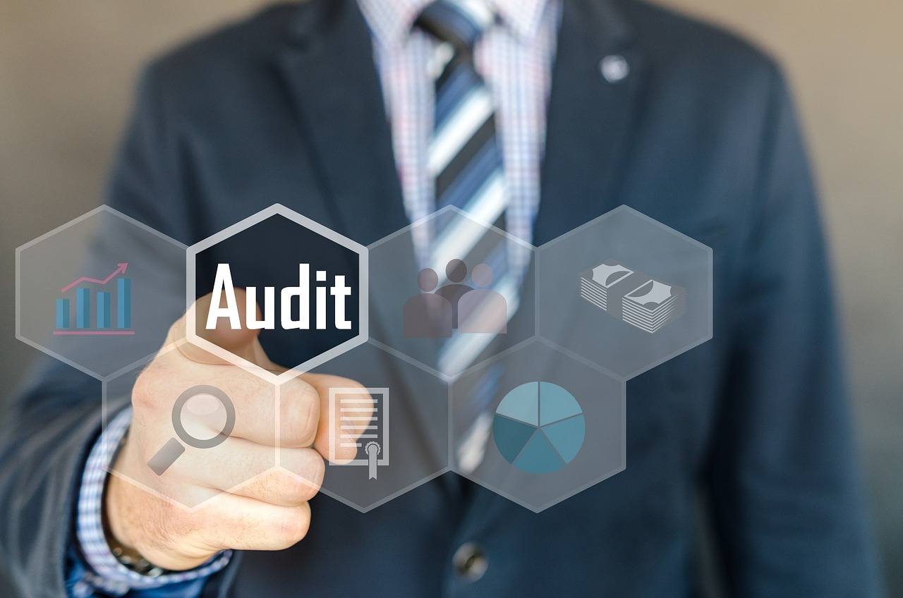 MDP internal audit