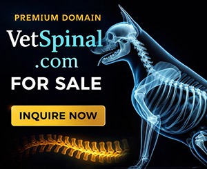 VetSpinal is for sale 300x245