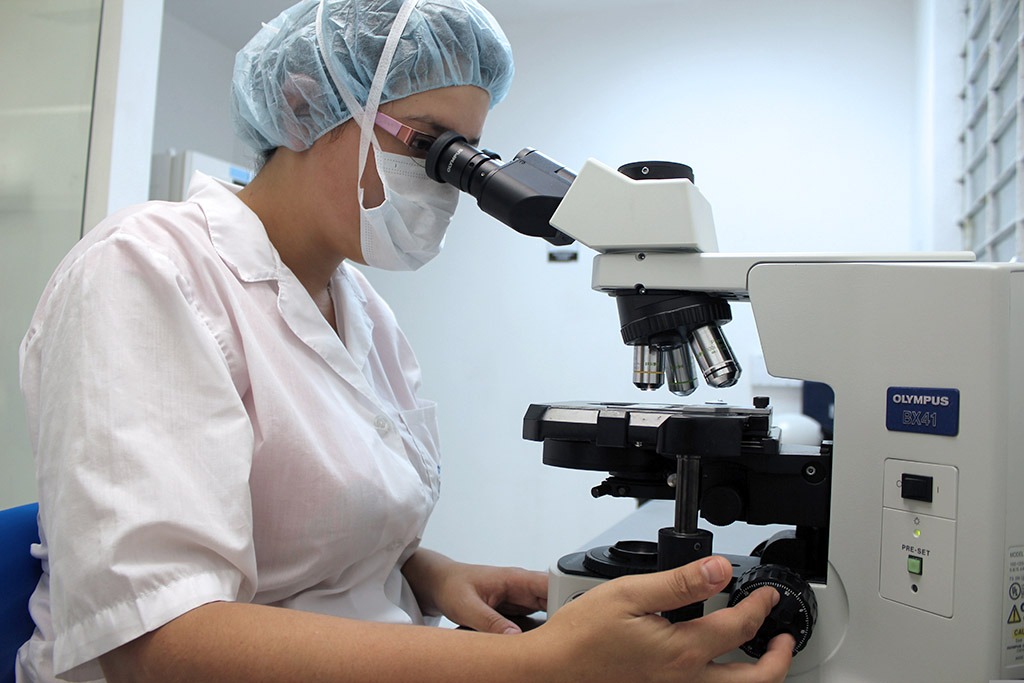 Microscope examination photo by Herney