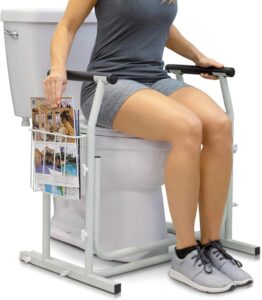 Vive Toilet Safety Rail with Arms